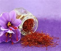 Image result for Growing Saffron