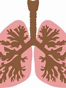 Image result for COPD Pinterest