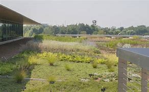 Image result for Green Roof Garden