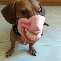 Image result for Scary Dog Mask