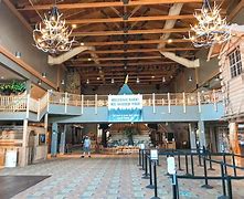 Image result for Great Wolf Lodge in Washington