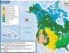 Image result for United States Vegetation Map