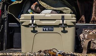 Image result for Tan Yeti