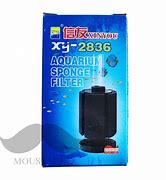 Image result for Xin You Aquarium