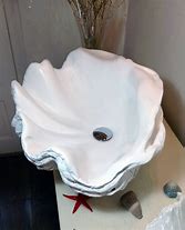 Image result for Pearl Clam Shell Sink