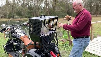 Image result for Motorcycle Dog Carrier Seat