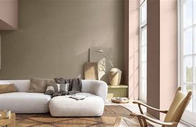 Image result for Dulux Oolong