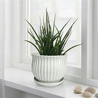 Image result for Ceramic Pot with Lid