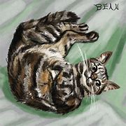 Image result for Bean Cat Drawing