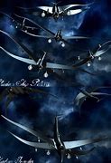 Image result for Shipslucia Shadow