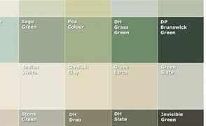 Image result for Sage Green Silk Paint