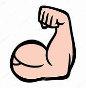 Image result for Drawings of Biceps