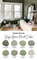 Image result for Light Sage Green Colour