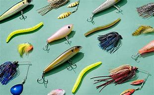 Image result for Brad's Lures