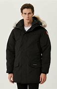 Image result for canada goose predators