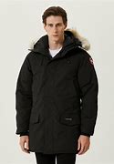 Image result for Canada Goose Female