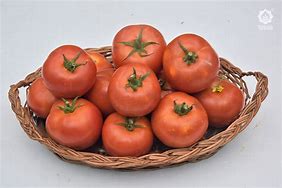 Image result for VNR Seeds