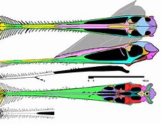 Image result for Gnathosaurus