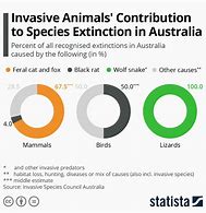 Image result for Invasive Species Australia