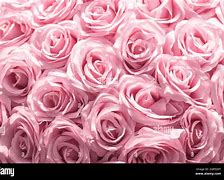 Image result for Quilled Pink Flowers