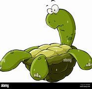 Image result for Calinder On Turtle Back