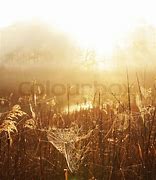 Image result for Misty Mountain Lake