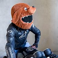 Image result for Dog Motorbike Helmet