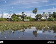 Image result for Okavango Delta Botswana Windows Background