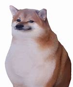 Image result for Flat Doge