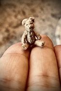 Image result for Mini Teddy Bear