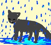 Image result for Drip Small Cat