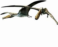 Image result for Ornithodesmus