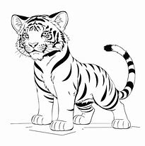 Image result for White Tiger Drawing On Grey Paper Cute