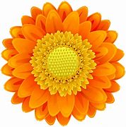 Image result for Flower Diagram Clip Art