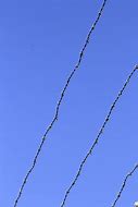 Image result for Barb Wire Line