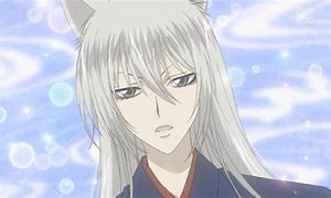 Image result for Half Animal Anime Cat