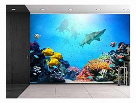 Image result for Underwater Scene Wall Murals