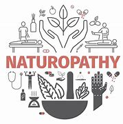 Image result for Naturopathy Logo