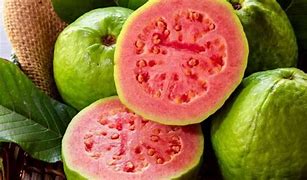 Image result for Guava Museum