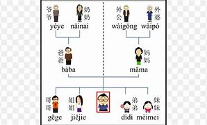 Image result for Mandarin Family Tree