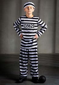 Image result for Prisoner Corgi Costume