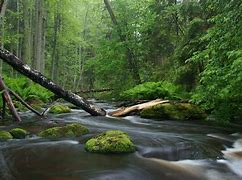 Image result for Outdoor Life Nature