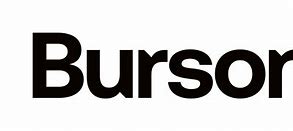 Image result for Burson Health Company Logo