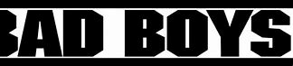 Image result for Bad Boys Film Logo