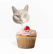 Image result for Cat Cake Toppers