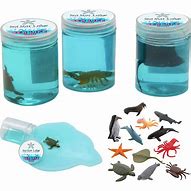 Image result for Sea Life Slime