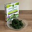 Image result for Spinach Gree Plant