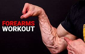 Image result for Forarms Workout