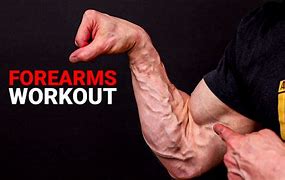 Image result for Best Forearm Exercises for Men