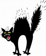 Image result for Scared Cat Clip Art